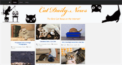 Desktop Screenshot of catdailynews.com