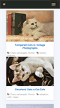 Mobile Screenshot of catdailynews.com